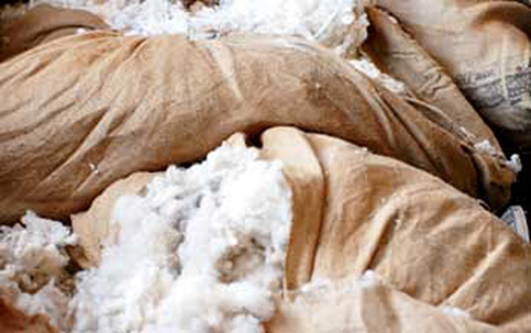 bags of scoured, undyed wool fleece