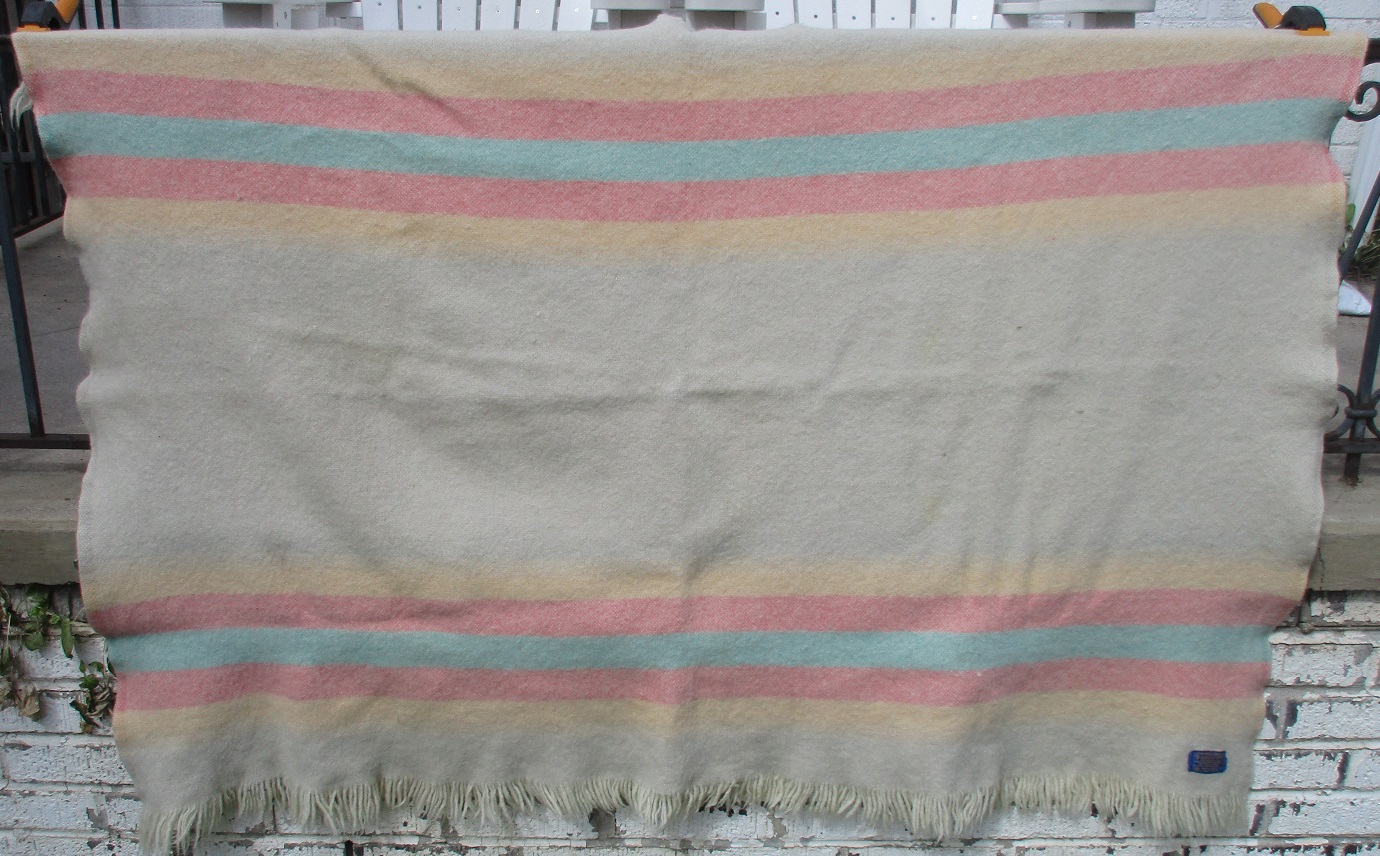 A Pendleton Zion National Park Zion blanket throw with a fringed edge from the 1960s.